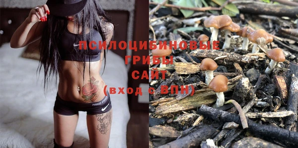 ПСИЛОЦИБИНОВЫЕ ГРИБЫ Кукмор