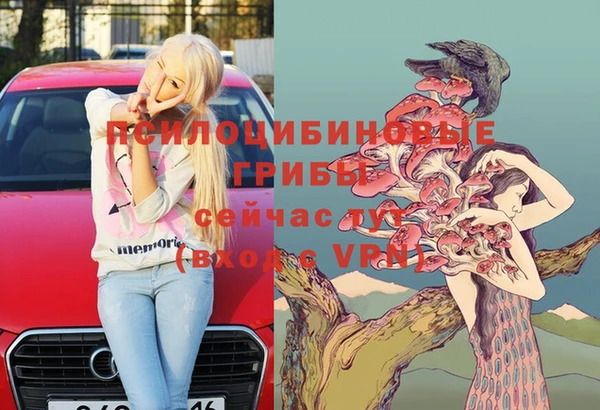 ПСИЛОЦИБИНОВЫЕ ГРИБЫ Кукмор