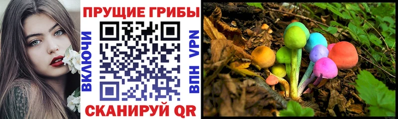Псилоцибиновые грибы ЛСД  Купить закладки  Покачи 