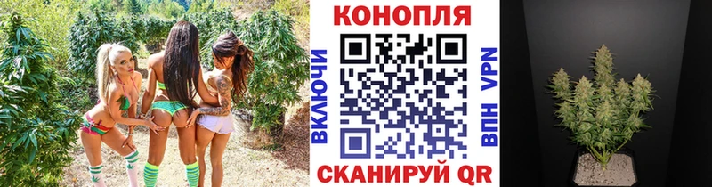 Канабис OG Kush  Купить где  Покачи 
